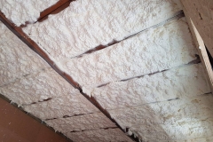 18641625_779264008904550_1246825836_o